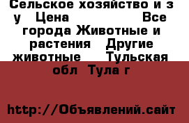 Сельское хозяйство и з/у › Цена ­ 2 500 000 - Все города Животные и растения » Другие животные   . Тульская обл.,Тула г.